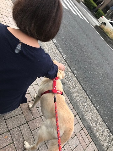 こぐまくん 新生活スタート!_f0242002_10340510.jpg