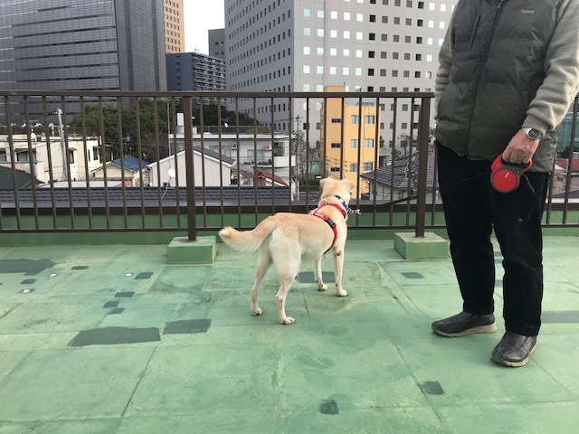こぐまくん 新生活スタート!_f0242002_10343519.jpg