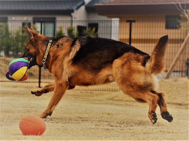 そんな写真をわたしは撮りたい_d0360206_00582618.jpg