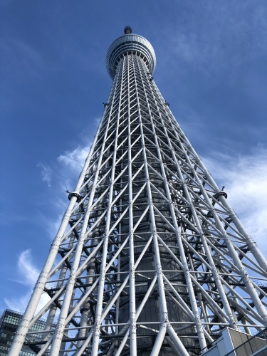 叔母の入院_d0184114_19353015.jpeg