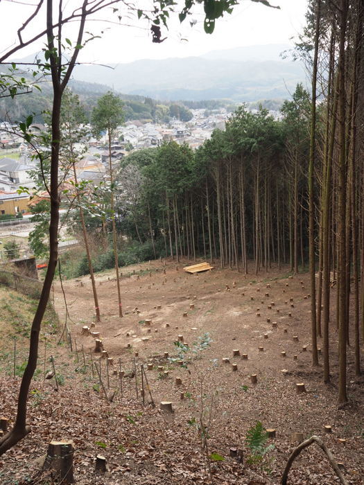 鞍掛山登山_c0116915_00003263.jpg