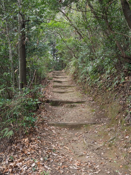 鞍掛山登山_c0116915_00010419.jpg