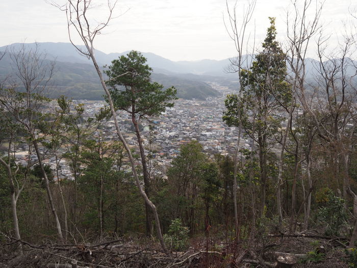 鞍掛山登山_c0116915_00051777.jpg