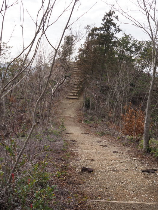鞍掛山登山_c0116915_00053036.jpg