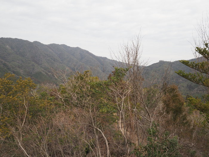 鞍掛山登山_c0116915_00115824.jpg