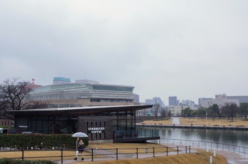 starbucks 富山環水公園店_d0004728_12304915.jpg