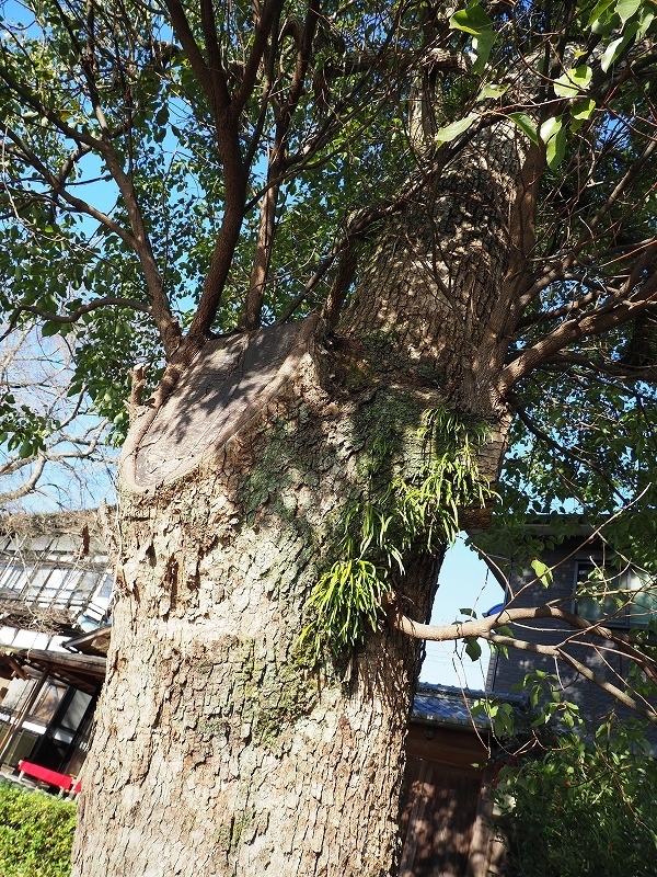 茶業会館 そして OK Boomer!?_e0374932_09354041.jpg