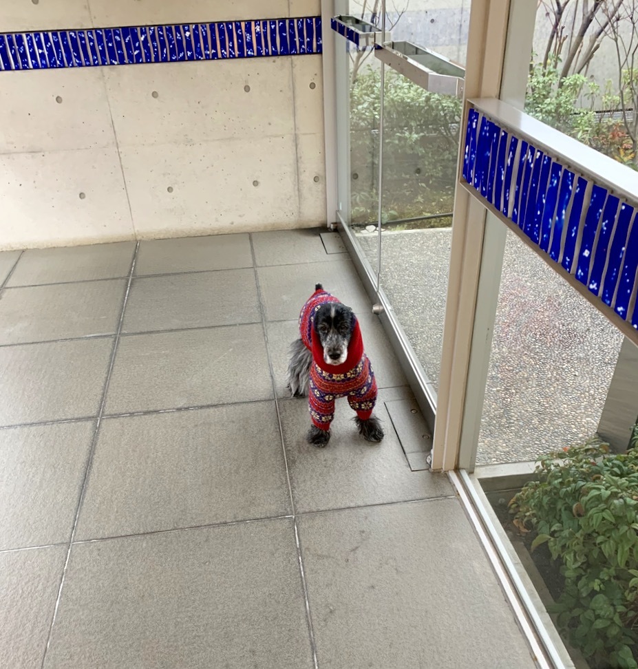 名作。_f0372146_19160197.jpg