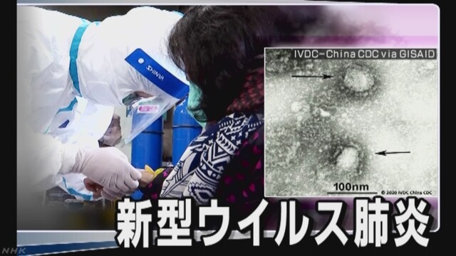 【金金金にうんざり】武漢肺炎_b0009849_12461439.jpeg