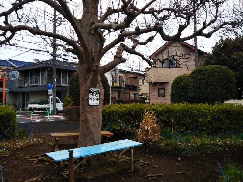 こぶしのベンチまで_a0394451_16434326.jpg
