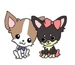 チワワーズ トライアルの思い出 梅ちゃん(エリ)編_b0213357_15021274.jpg
