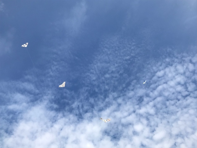 たこ上げ_f0324461_22115961.jpeg