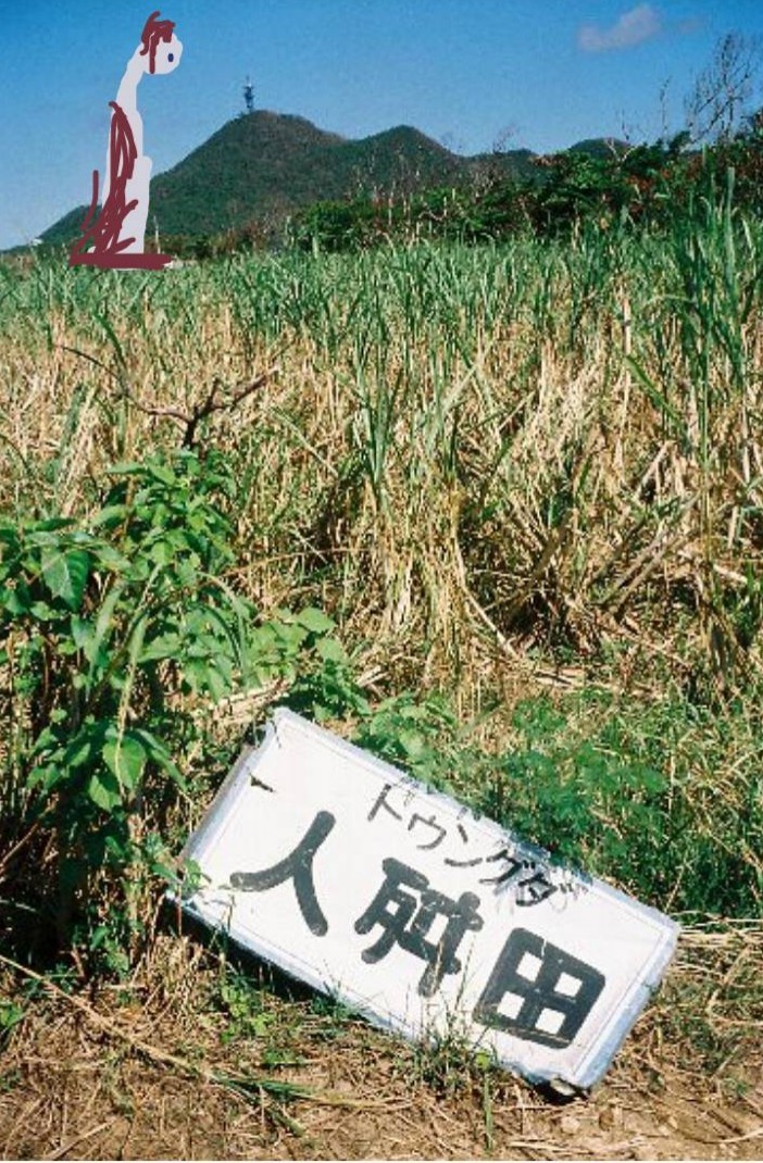 怪物図録:沖縄写真書込系:アカマタ(追記)、ミルク洞窟の赤牛、識名坂の遺念火、焼金、アカカナジャー他_b0116271_10293380.jpg