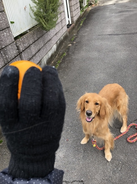 明日への充電_a0394574_23333023.jpeg