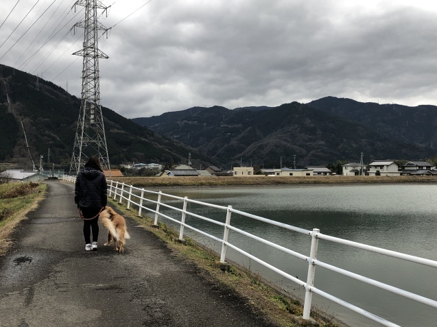 明日への充電_a0394574_23353234.jpeg