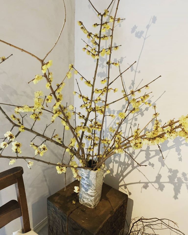 🎍新春🎍 着物を着る会^^ _d0230676_10051409.jpg