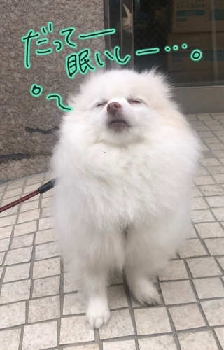雨が降る前に!_f0357682_11484066.jpg