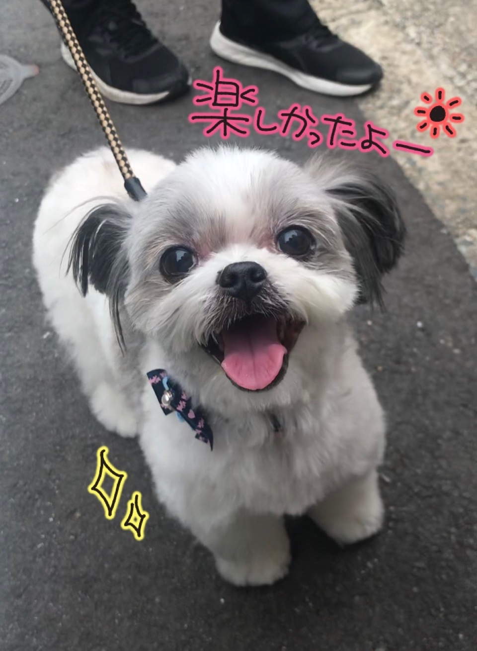 雨が降る前に!_f0357682_11505757.jpg