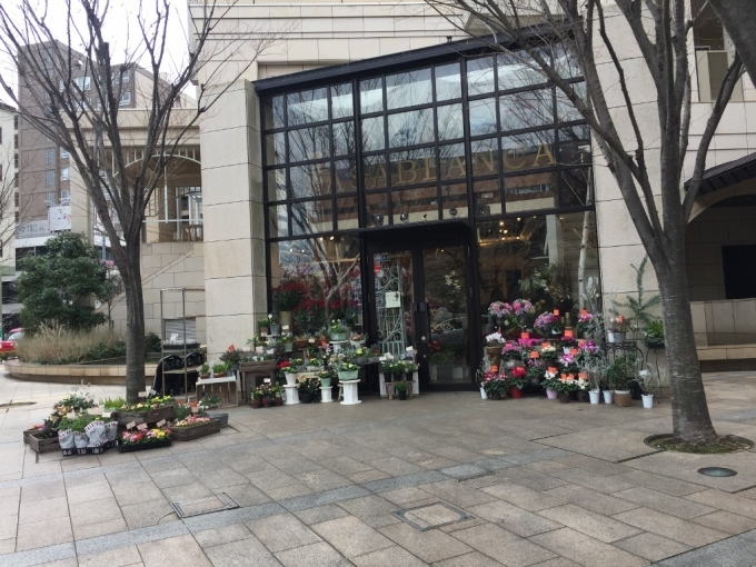 宝塚 手塚治虫記念館斜め前の花屋さんの店先 D1bada