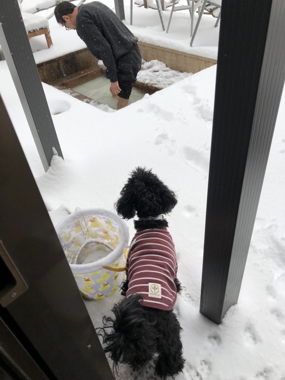 2020年1月26日 雪です_b0098584_12221227.jpeg