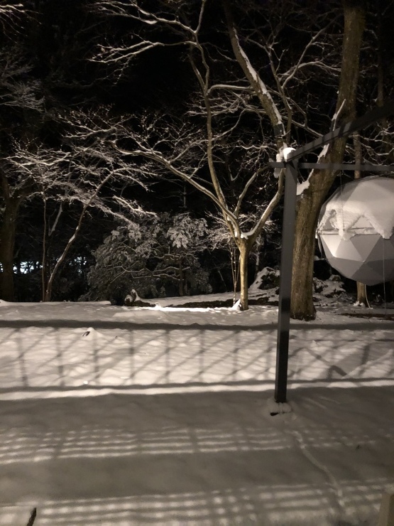 積雪15センチ位_b0098584_18345364.jpeg