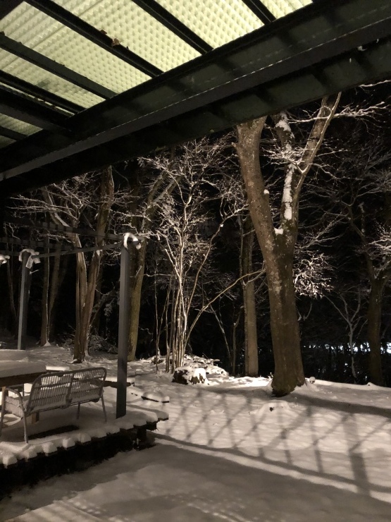 積雪15センチ位_b0098584_18350793.jpeg