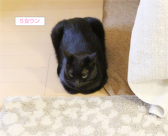 どうしてもキライなもの_a0389088_15534827.jpg