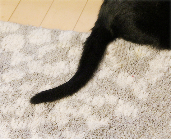 どうしてもキライなもの_a0389088_15534985.jpg