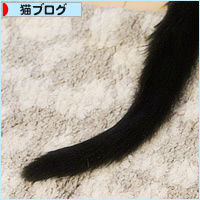 どうしてもキライなもの_a0389088_15535230.jpg