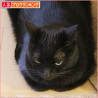 どうしてもキライなもの_a0389088_15535245.jpg