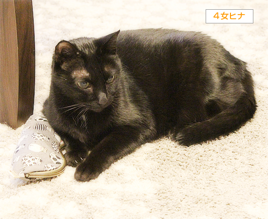 どうしてもキライなもの_a0389088_15571871.jpg