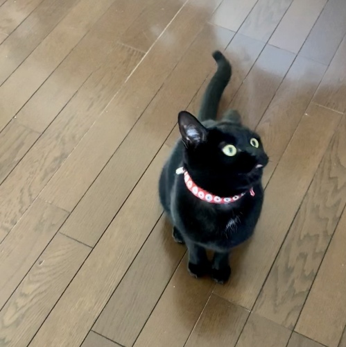 コクーンチュニックを作る　2_e0358096_18525984.jpeg