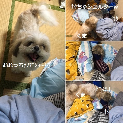 週末あれこれ~。_f0372998_22233844.jpg