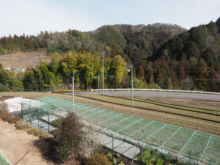 曇りのち晴れたり曇ったり_c0116915_00072701.jpg