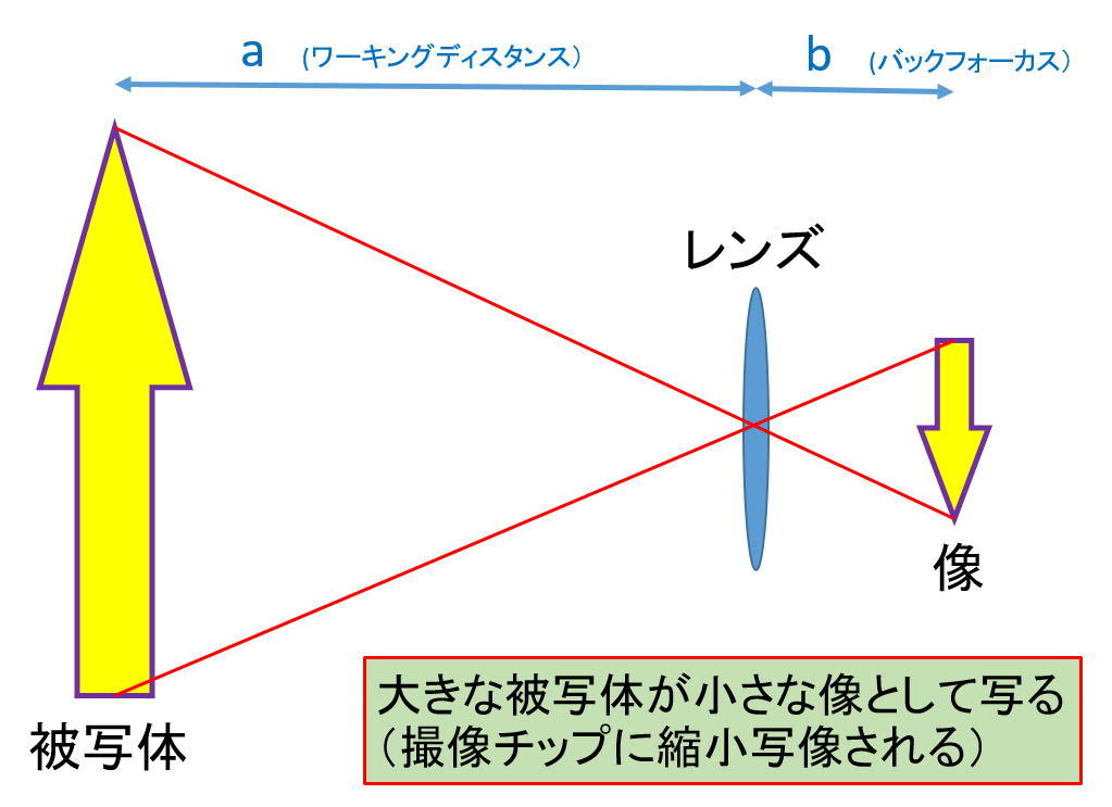 ASI294MCのベイヤー構造判明か?_f0346040_06115596.jpg