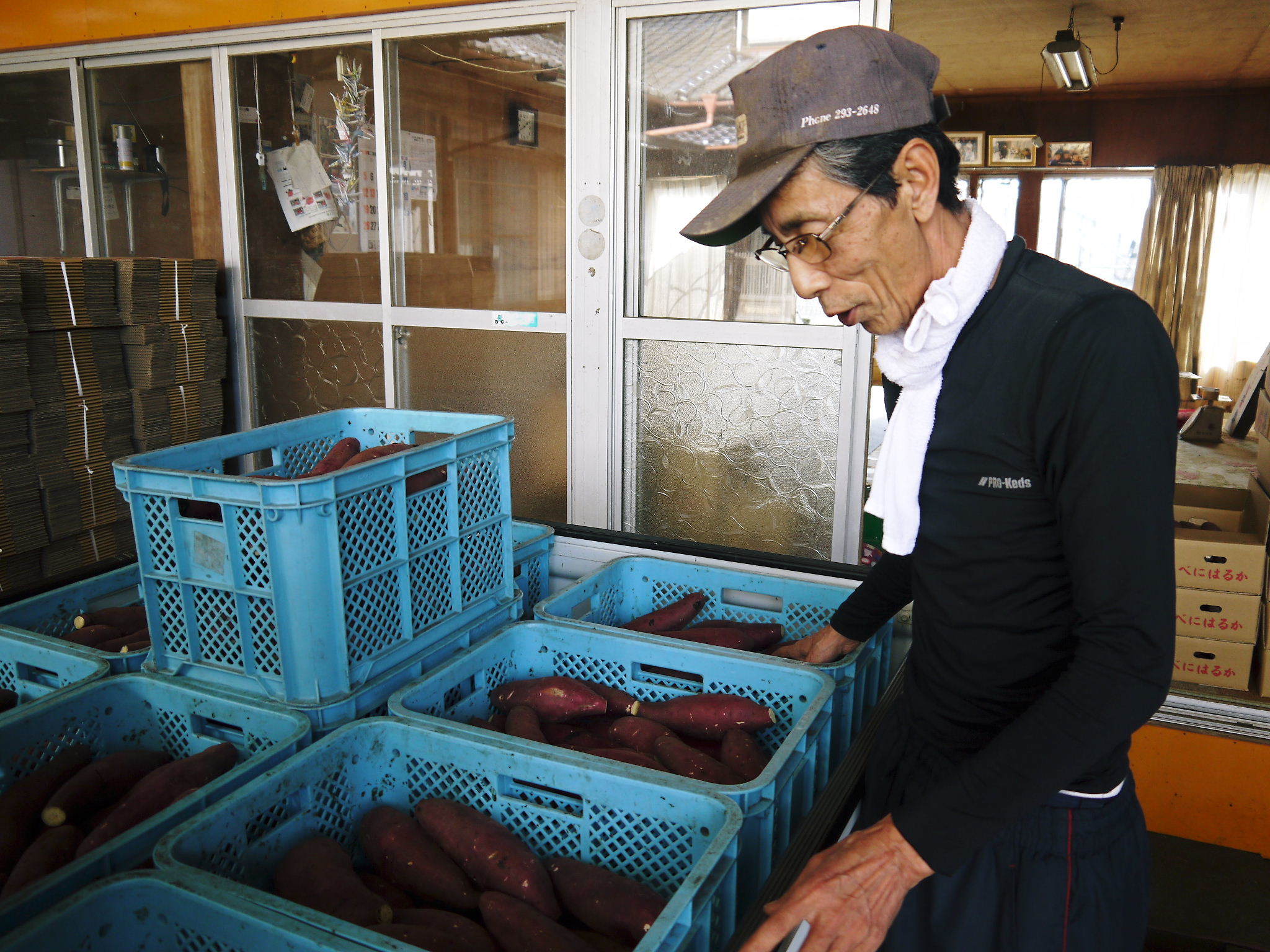 熊本産大津甘藷『からいも(サツマイモ)』の販売に向け、生産農家を現地取材(前編)_a0254656_18441745.jpg