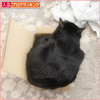 ここだけは、譲れない_a0389088_17564972.jpg