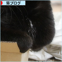 ここだけは、譲れない_a0389088_17564992.jpg