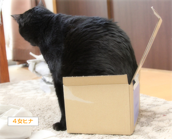 ここだけは、譲れない_a0389088_17565792.jpg