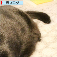 ダイエットの結果_a0389088_18201903.jpg