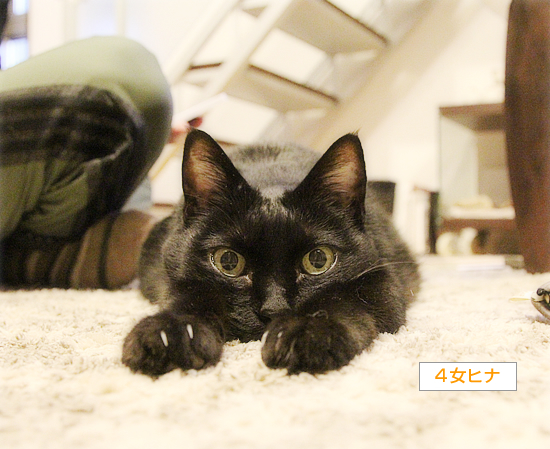 ダイエットの結果_a0389088_18201916.jpg