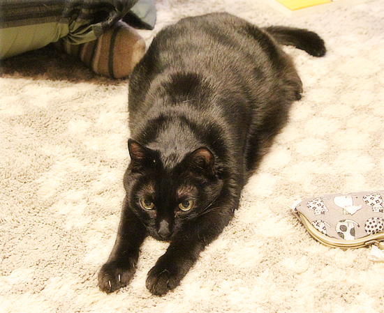 ダイエットの結果_a0389088_18201943.jpg