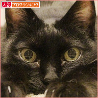 ダイエットの結果_a0389088_18202031.jpg