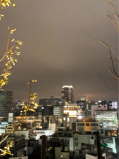 攻めてる感じ_e0138812_17140390.jpg