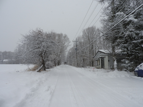 雪が降りました！天気予報、道路状況最新をチェックして（2020年1月28日）_b0174425_11121300.jpg