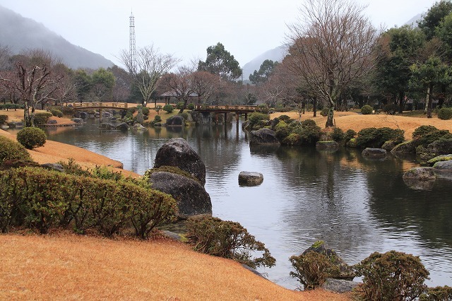 外国人、茶道・箏、尺八を鑑賞_e0321325_12130185.jpg