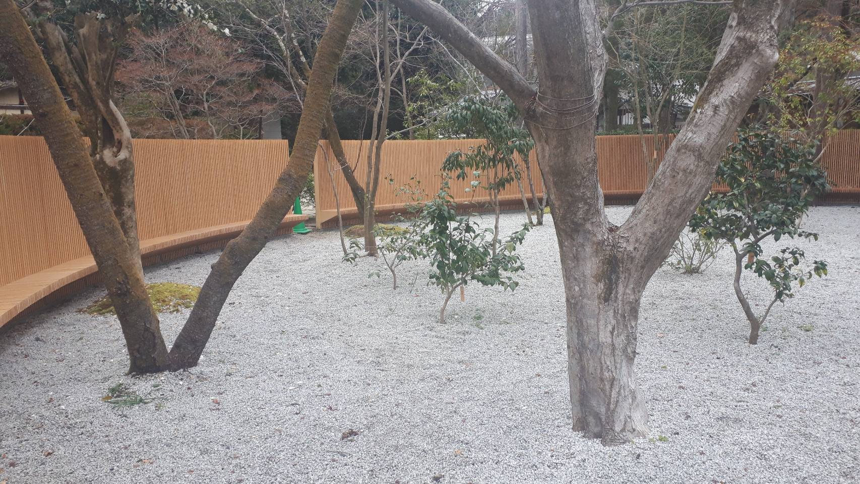 神山湧水珈琲 煎 　白いふくろうがいるらしい_d0106134_21121647.jpg