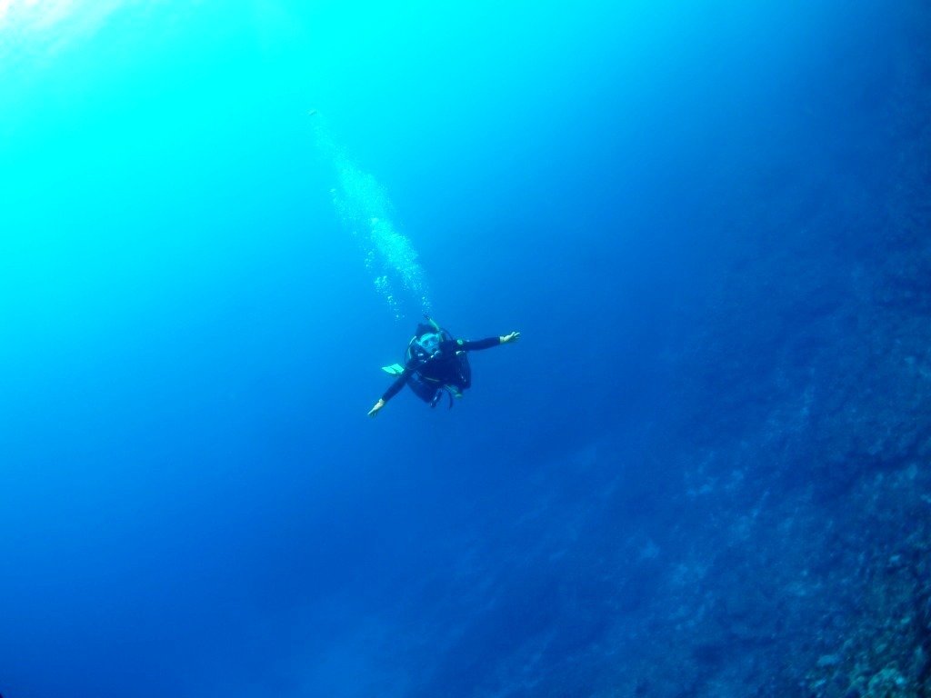 Run & Dive !!_a0189838_11045494.jpg