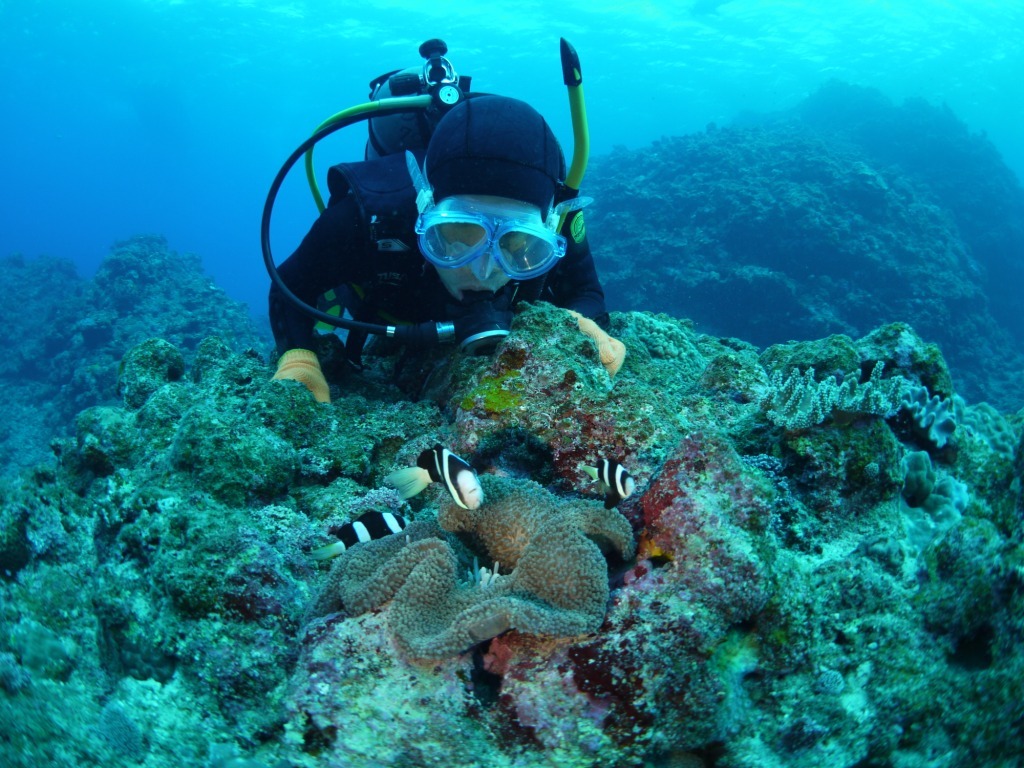 Run & Dive !!_a0189838_11085541.jpg