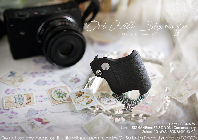 SIGMA Hand Grip HG-11 for FP Camera